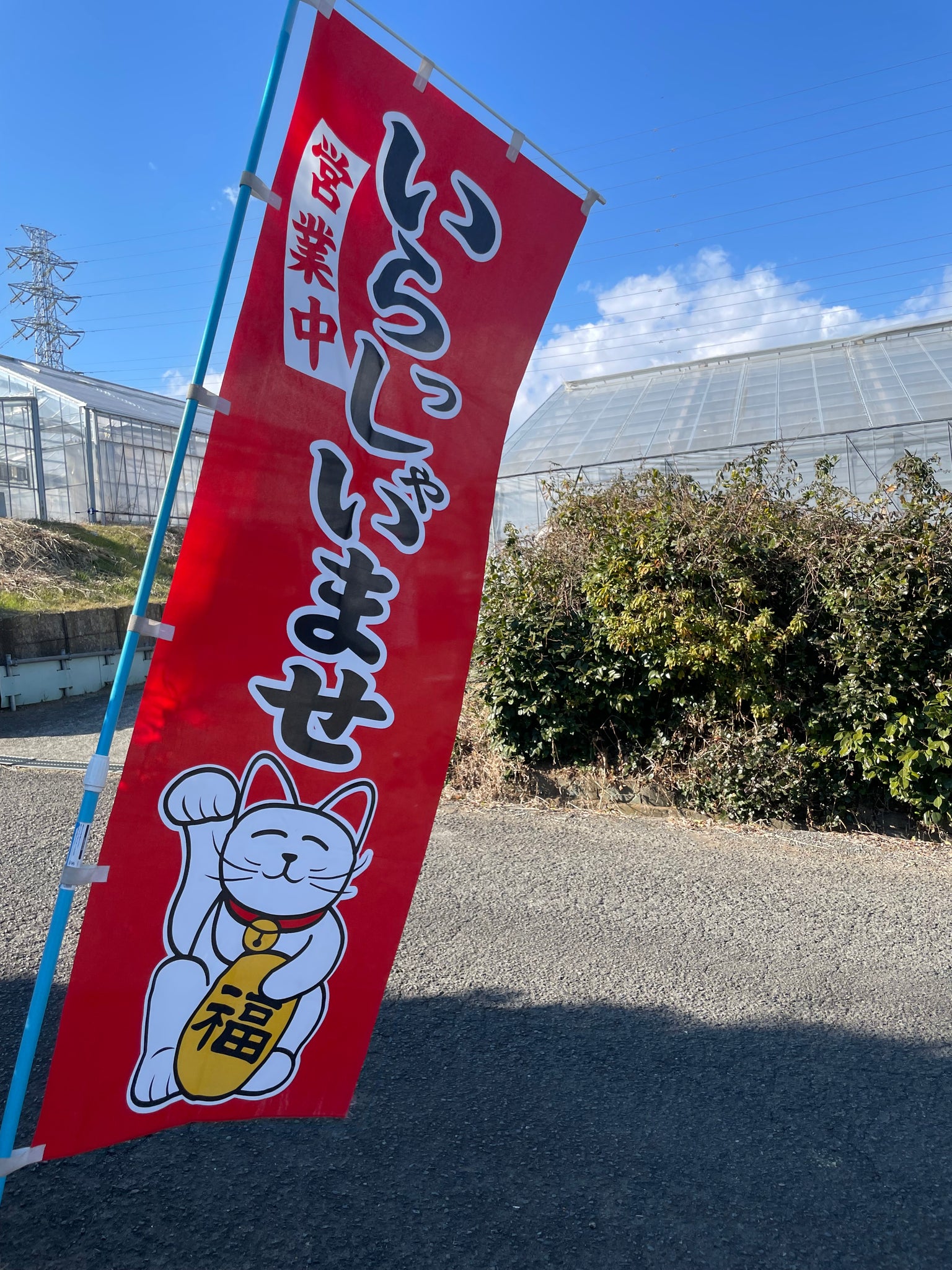 いよいよ今年もオープンしました！！